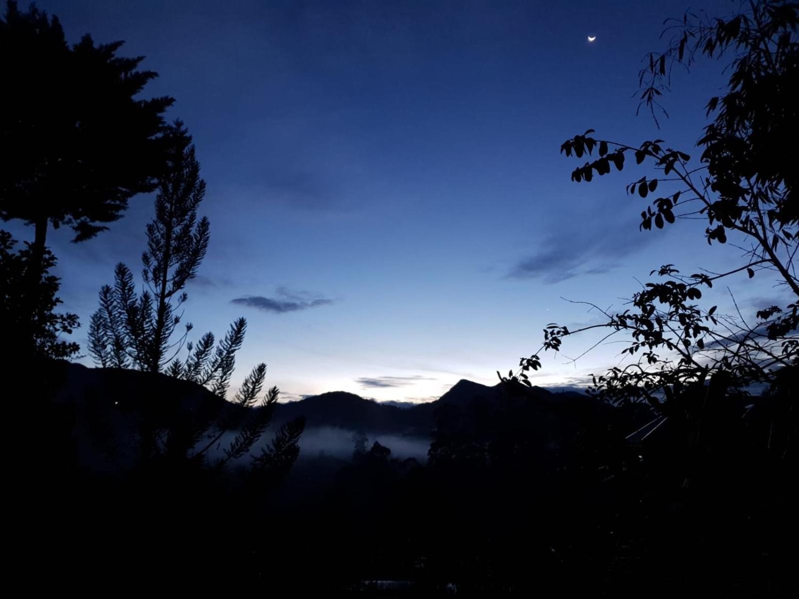 Princess Of Dickoya Homestay Хаттон Номер фото